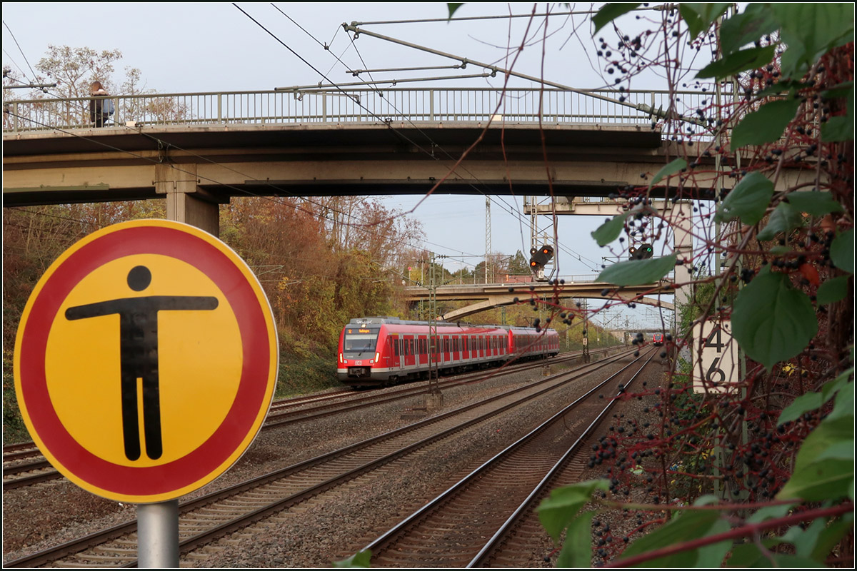 Rampe ins Neckartal -

Ein S-Bahnzug der Baureihe 430 auf der viergleisigen Strecke von Fellbach hinab nach Bad Cannstatt im Neckartal bei der Station 'Sommerrain.'

17.11.2020 (M)