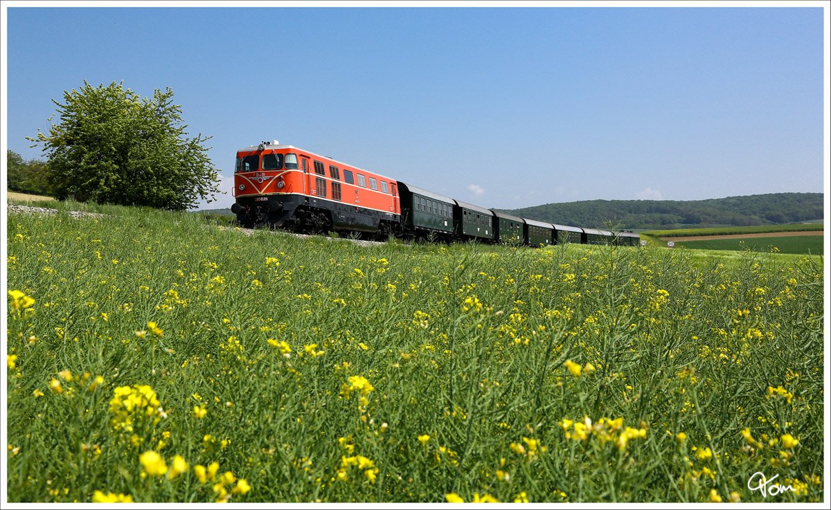 Rapsody :O) - An den blühenden Rapsfeldern nahe Mollmannsdorf vorbei, fährt 2050.09 fährt mit dem Nostalgie Express  Leiser Berge  von Korneuburg nach Ernstbrunn. 
1.5.2014