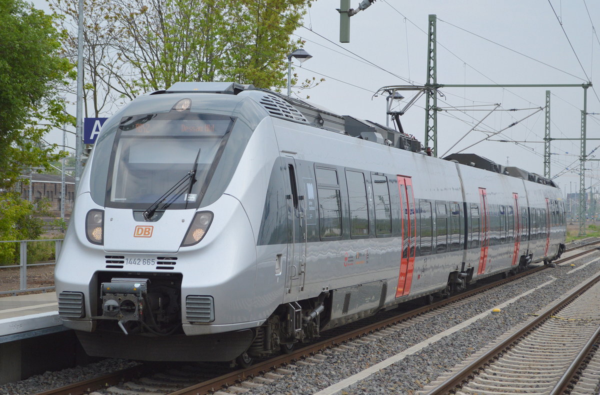 RB42 nach Dessau Hbf mit 1442 665 abfahrbereit Magdeburg Hbf. am 29.04.19