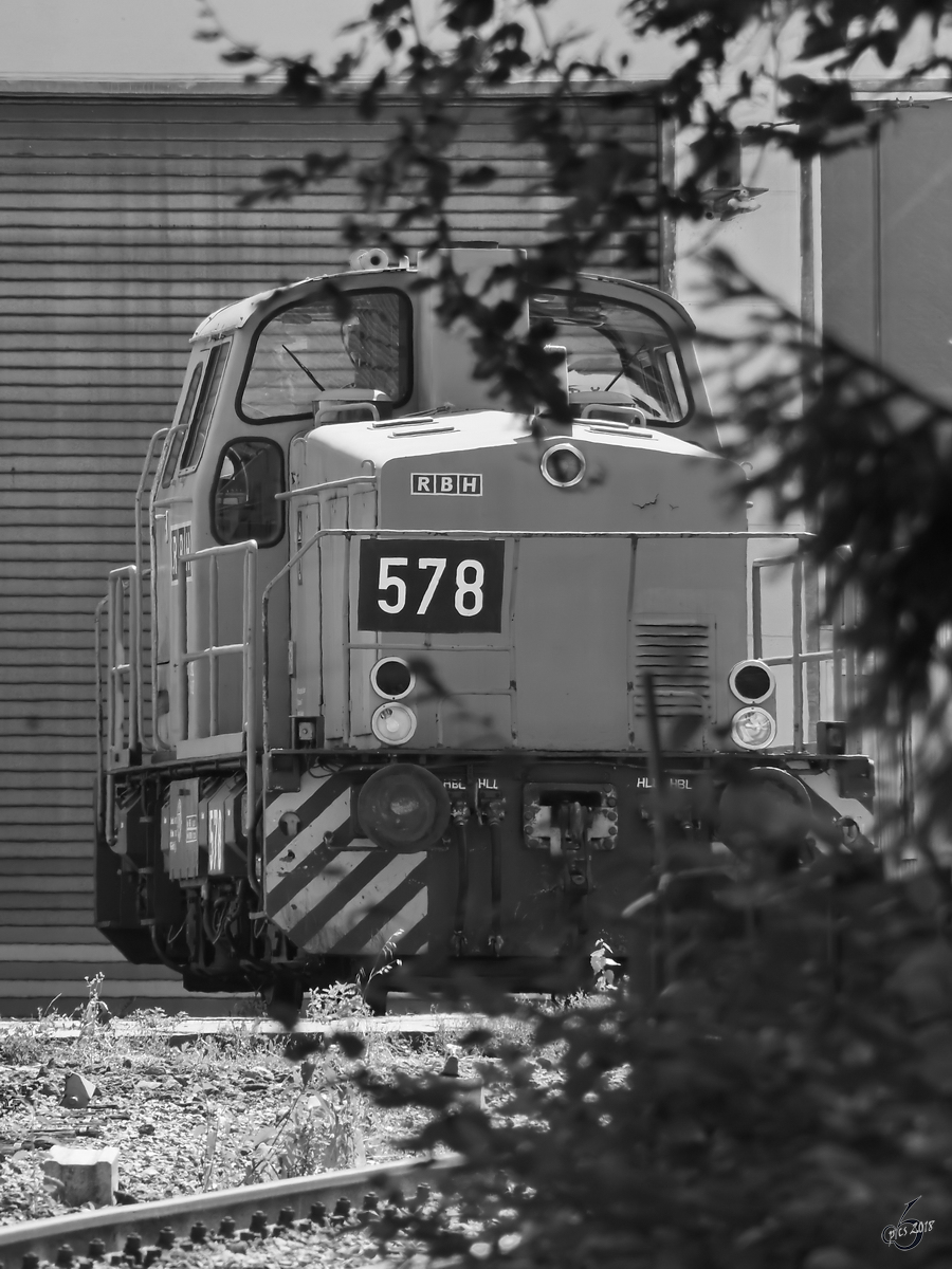 RBH  578 , etwas schüchtern versteckt sie sich. (Hattingen, August 2018)