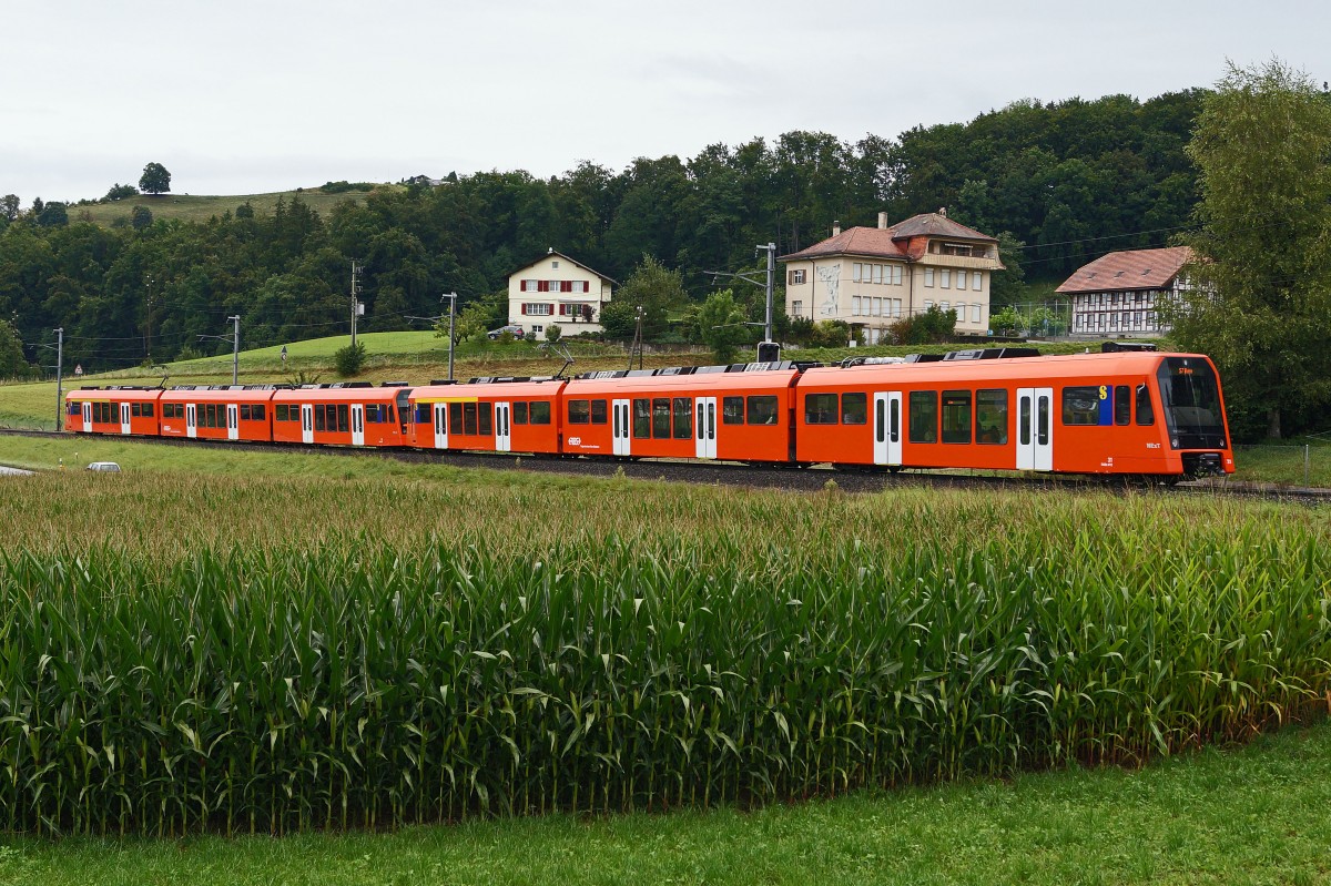 RBS: 100 Jahre Worblentalbahn WT. An der 100-Jahr Feier verkehrten smtliche Fahrzeugtypen der RBS auf der S 7. RABe 4/12-Doppeltraktion  NEXT  zwischen Boll-Utzigen und Vechigen unterwegs am 25. August 2013.
Foto: Walter Ruetsch  