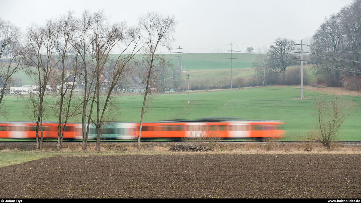 RBS Mandarinli am 28. Dezember 2018 bei Bolligen.
