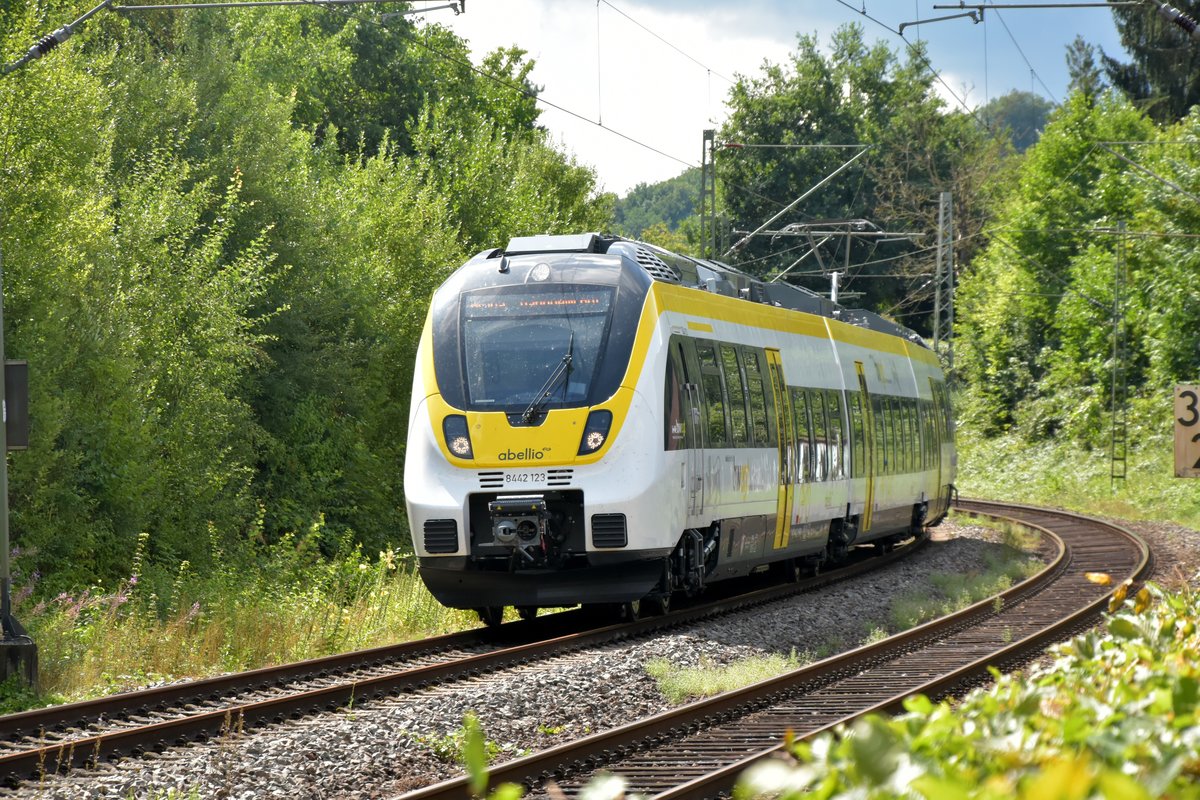 RE 10a nach Mannheim in Neckargerach am 4.8.2020