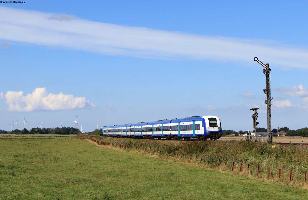 RE 11073 (Westerland(Sylt)-Niebüll) mit 245 204-3 bei Lehnshallig 2.9.20