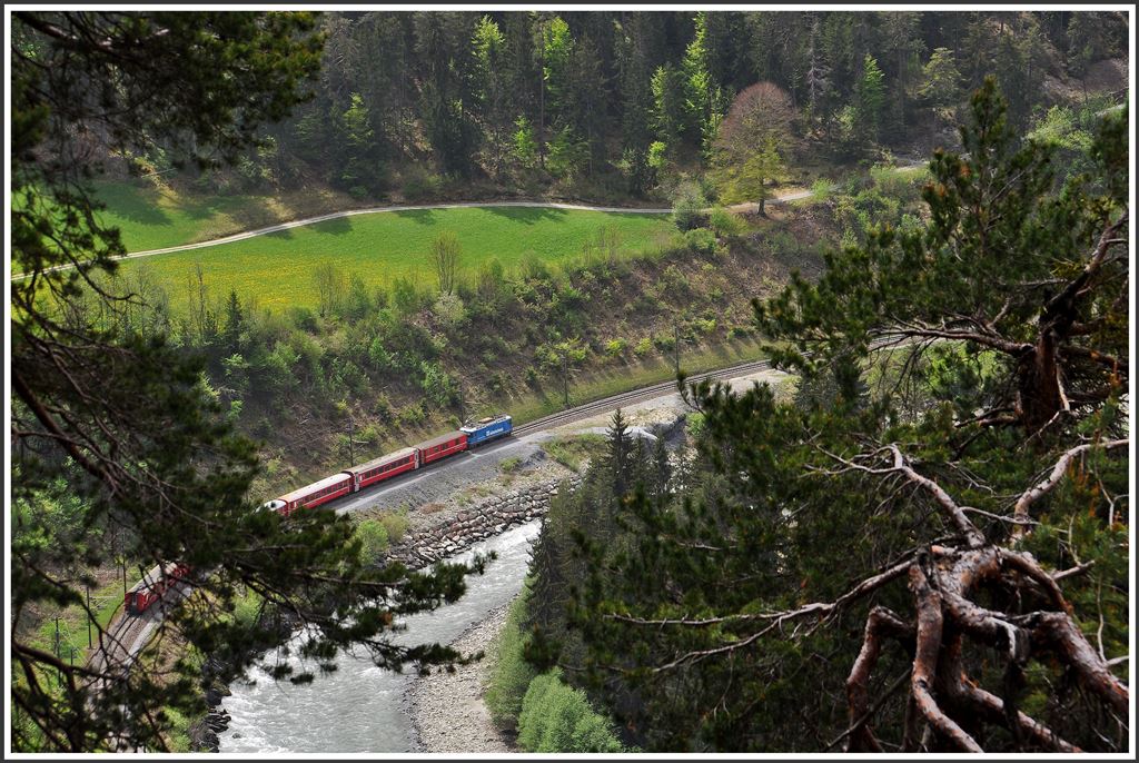 RE 1232 mit der neusten Werbelok der RhB (für die Zeitung Südostschweiz) Ge 4/4 II 619  Samedan  zwischen Versam-Safien und Valendas-Sagogn. (05.05.2015)