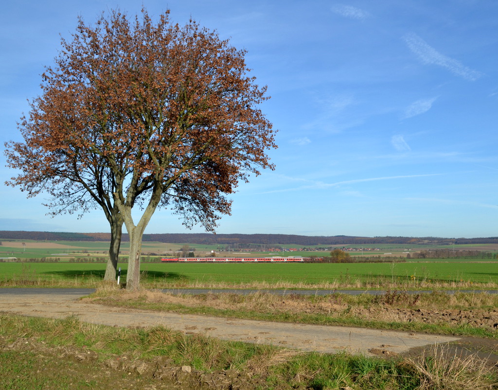 RE 14068 Bad Harzburg - Hannover Hbf am 23.11.2014 bei Klein Elbe. 