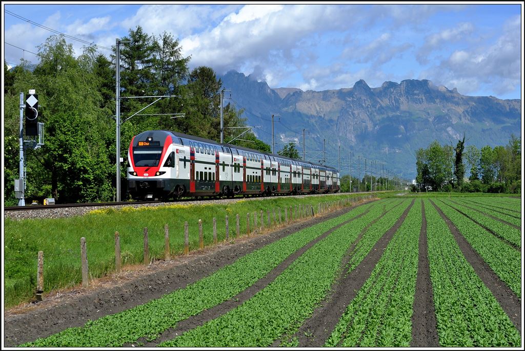 RE 3813 mit 511 021 bei Sevelen. (08.05.2014)