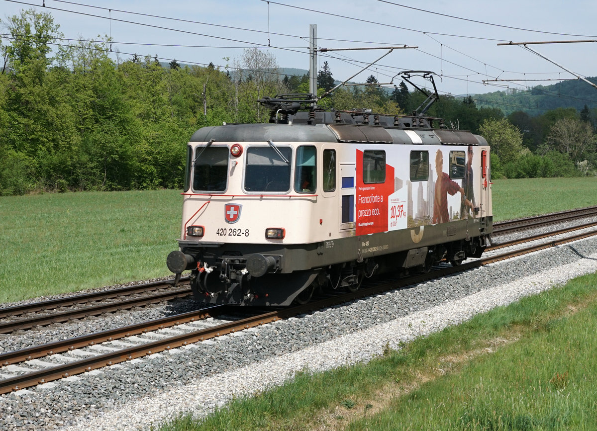 Re 420 262-8 als Lokzug bei Murgenthal am 24. April 2020.
Foto: Walter Ruetsch
