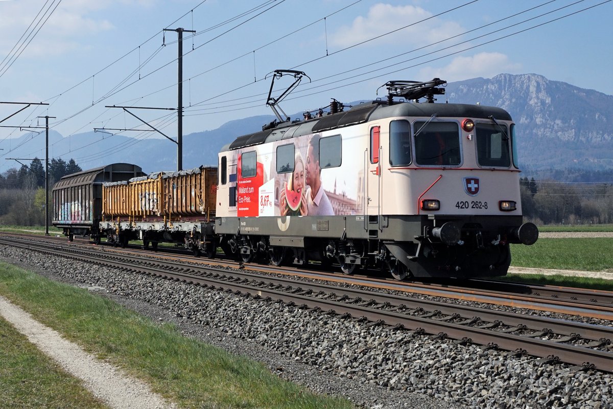 Re 420 262-8.
Die neuste Werbe Re 4/4 von SBB CARGO mit einem Kurzzug bei Deitingen am 3. April 2020.
Foto: Walter Ruetsch