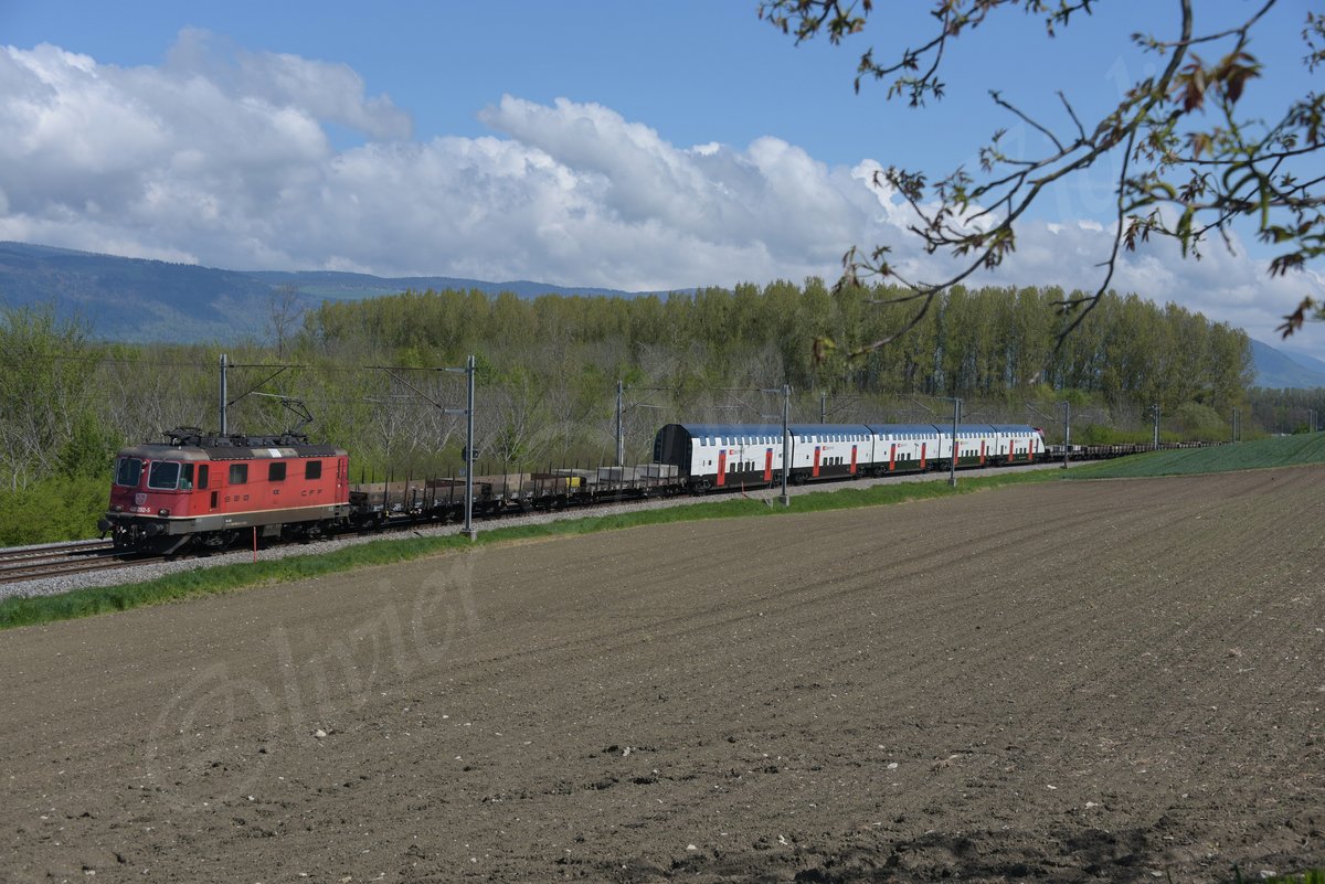 Re 420 293 assurant un train du Triage de Bâle à Villeneuve
Ici à Essert-Pittet.

© 2019 {Olivier Vietti-Violi}