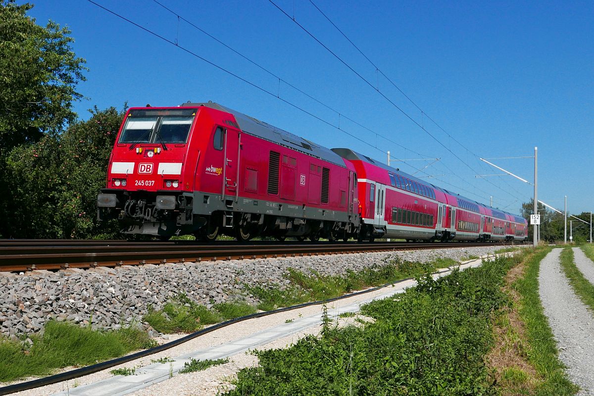 RE 4215, Stuttgart - Lindau, am 09.09.2020 gezogen von 245 037, zwischen Bad Schussenried und Aulendorf.