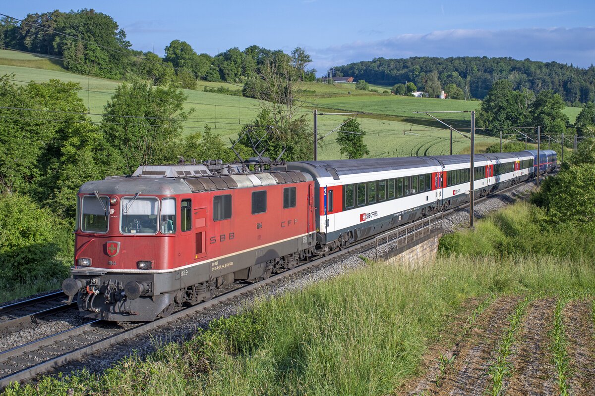 Re 4/4 II 11144 ist mit dem NJ aus Amsterdam (resp. was in der CH davon noch übrig ist) unterwegs nach Zürich HB. Aufgenommen zwischen Hornussen und Effingen AG am Morgen des 28.05.2022.
