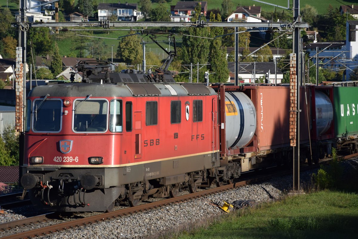 Re 4/4 II 11239 (420 239-6)  Porrentruy  zieht am Abend des 25.09.2018 einen Güterzug bei Zeihen AG in Richtung Basel.