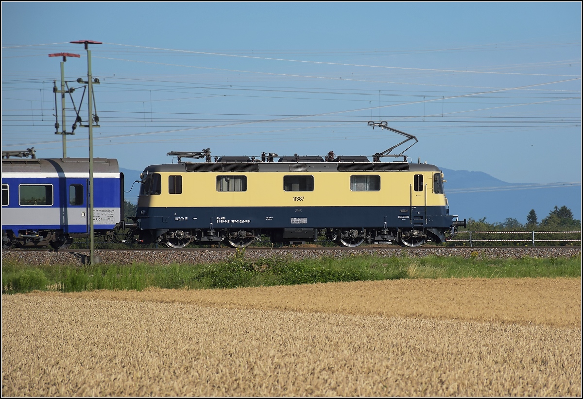 Re 4/4 II 11387 im Markgräflerland auf ihrem Weg nach Berlin. Auggen, Juli 2020.