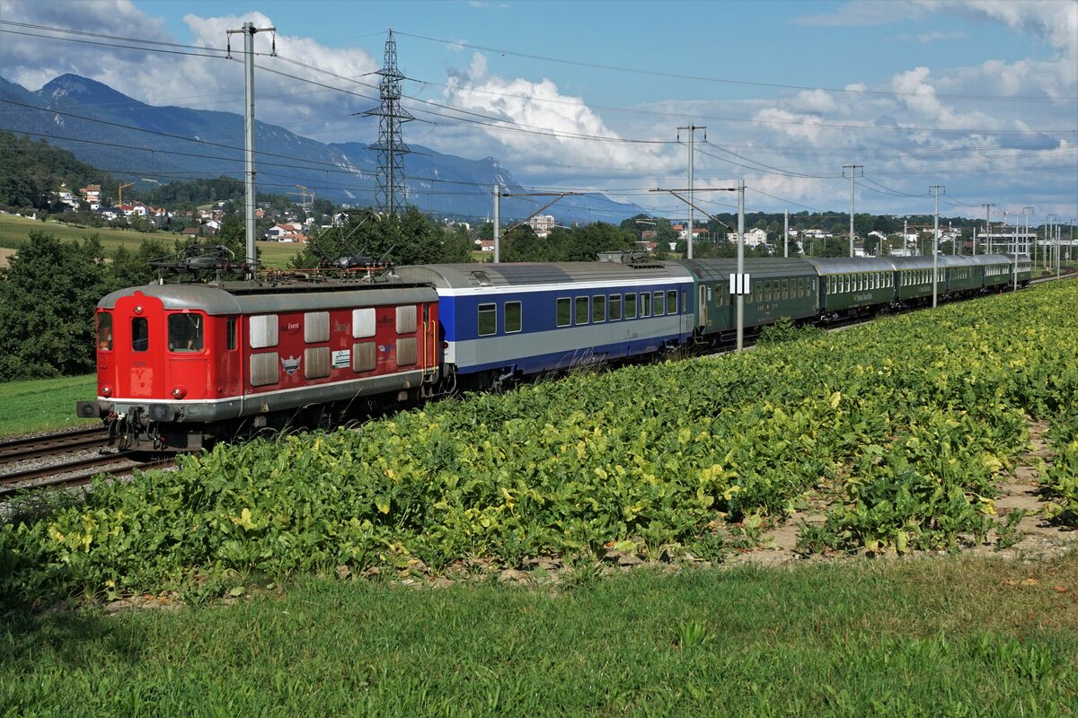 Re 4/4 l 10009 mit den historischen Wagen für die Dampffahrt vom 1. September 2021 mit der 01 202, bei Pieterlen, auf der Fahrt von Oensingen nach Lyss am 31. August 2021.
Foto: Walter Ruetsch