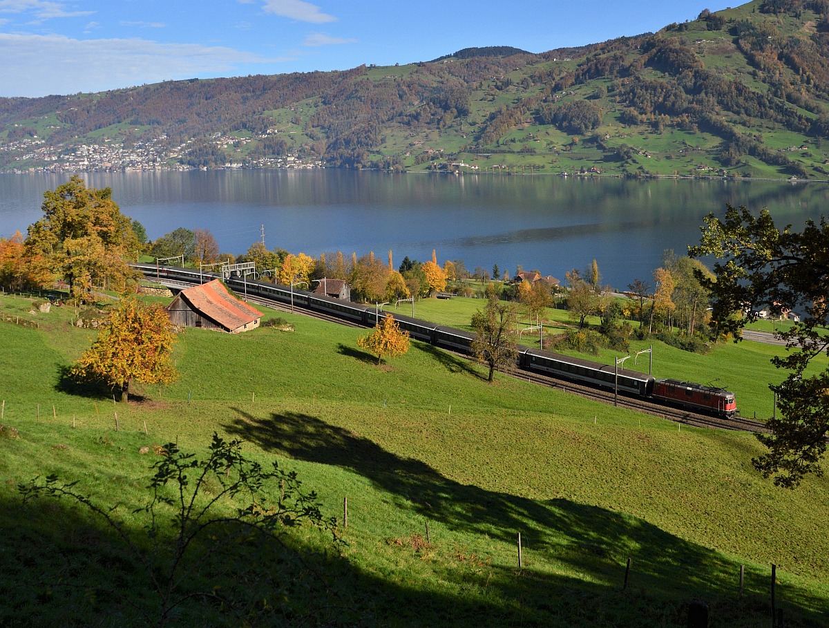 Re 4/4 nach Arth Goldau bei Immensee.
3. November 2014