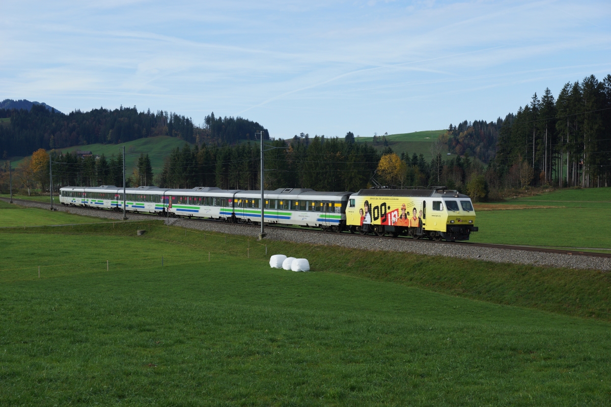 Re 446 017-6 befindet sich am 26.10.2013 mit dem Voralpen-Express 2415 kurz vor Altmatt.