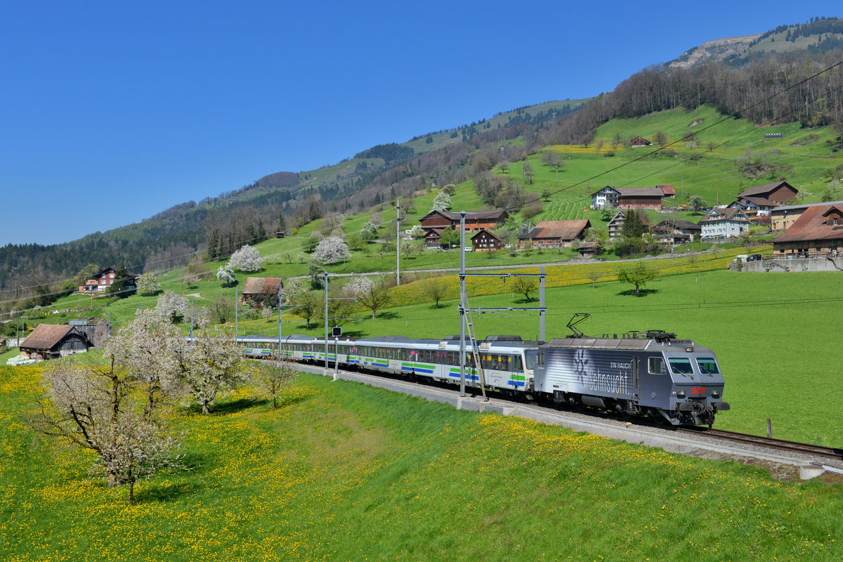 Re 446 017 mit einem VAE am 08.04.2017 bei Steinerberg. 