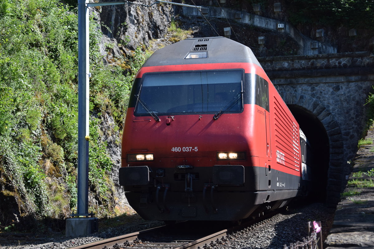Re 460 037-5  Sempacher See  ist am 18.06.2017 in der Nähe der Tellsplatte am Vierwaldstättersee in Richtung Brunnen unterwegs.