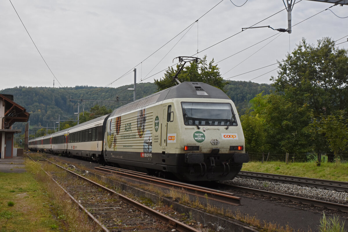 Re 460 041-7 mit der COOP Werbung durchfährt den Bahnhof Hornussen. Sie Aufnahme stammt vom 25.09.2021.