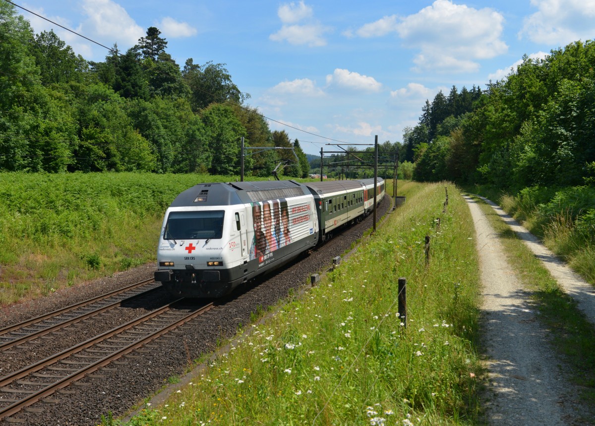 Re 460 041 mit einem IR nach Basel am 18.06.2014 bei Rupperswil. 