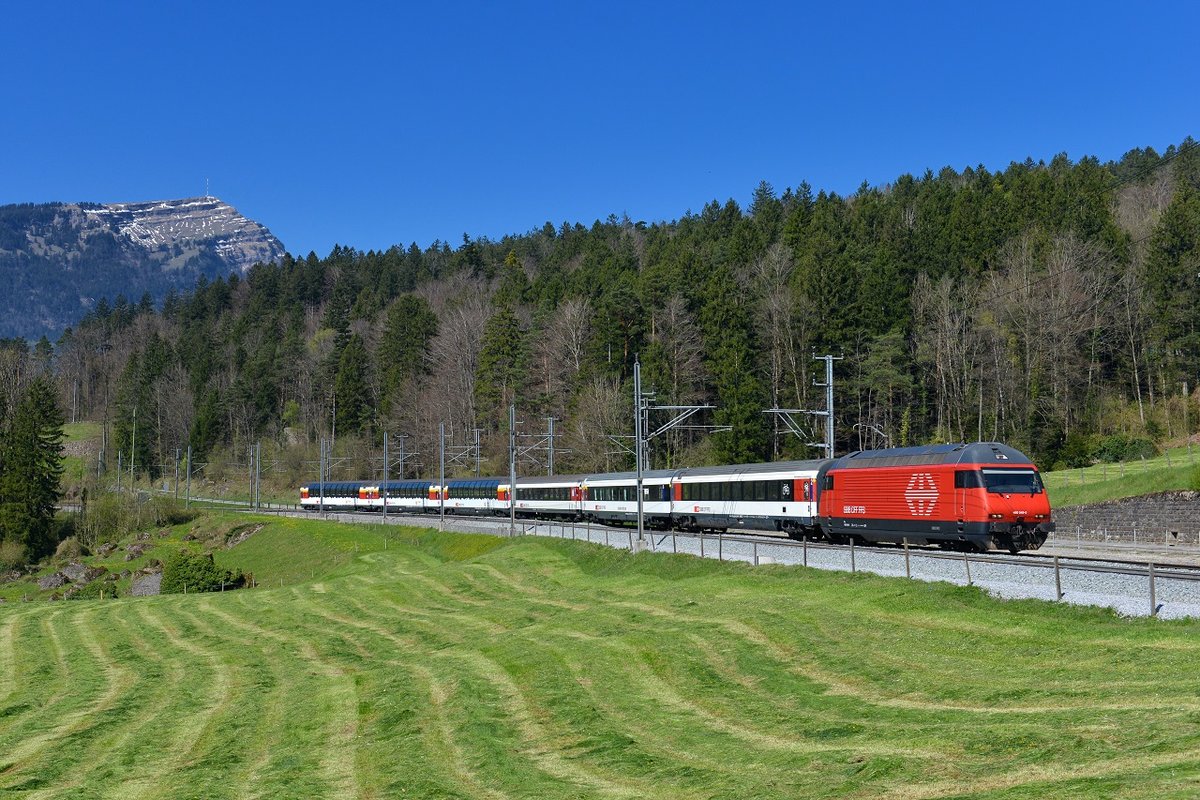 Re 460 049 mit einer Leerfahrt am 08.04.2017 bei Goldau. 