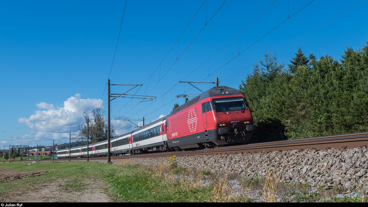 Re 460 103 zieht am 3. Oktober 2016 einen IR von Zürich nach St. Gallen bei Baltenswil in Richtung Winterthur. Gut zu erkennen ist auf diesem Bild die starke Kurvenüberhöhung der Strecke in diesem Bereich.