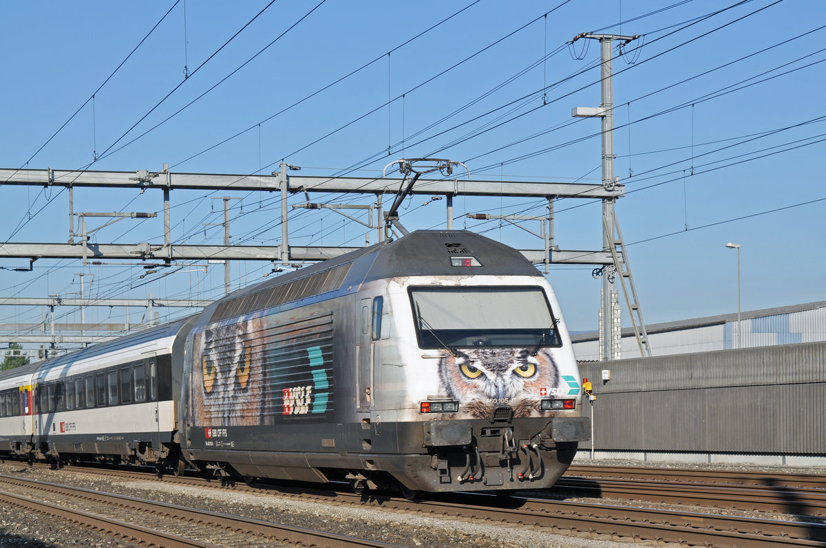 Re 460 105-0, mit der VLSF Werbung durchfährt den Bahnhof Rothrist. Die Aufnahme stammt vom 25.08.2016.
