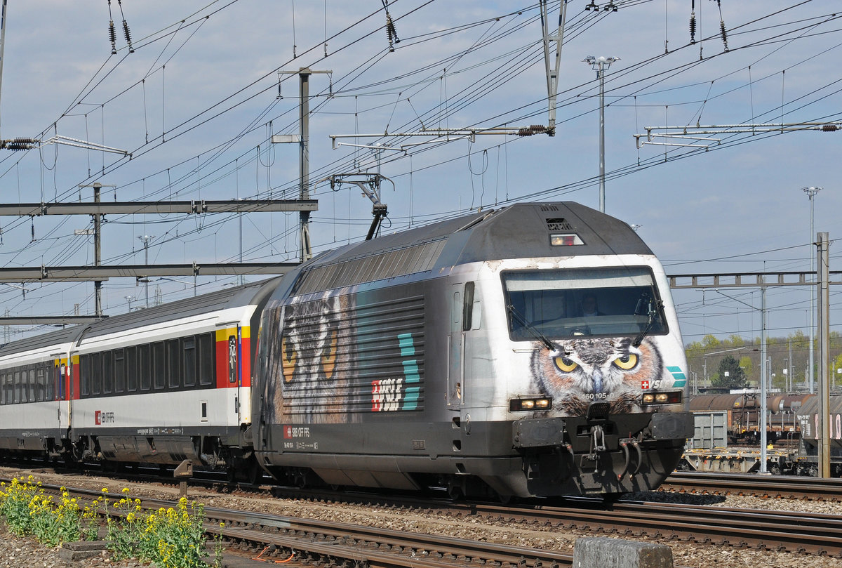 Re 460 105-0 mit der VSLF Werbung, durchfährt den Bahnhof Muttenz. Die Aufnahme stammt vom 11.04.2016.