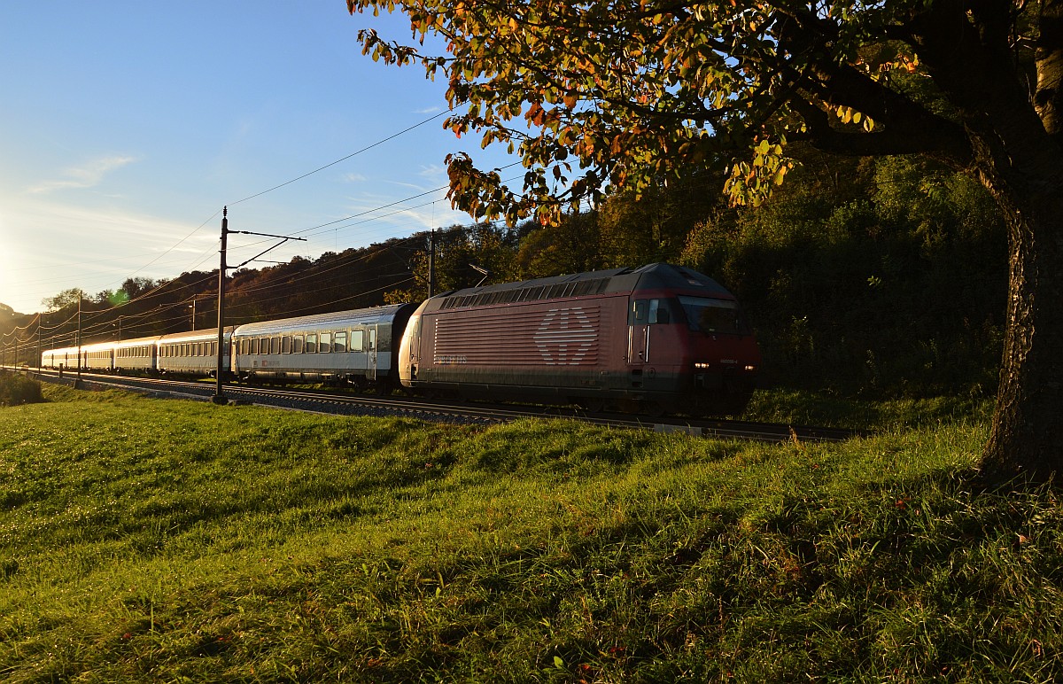 Re 460 Basel-Zürich bei Umiken (Brugg)
17. Oktober 2014