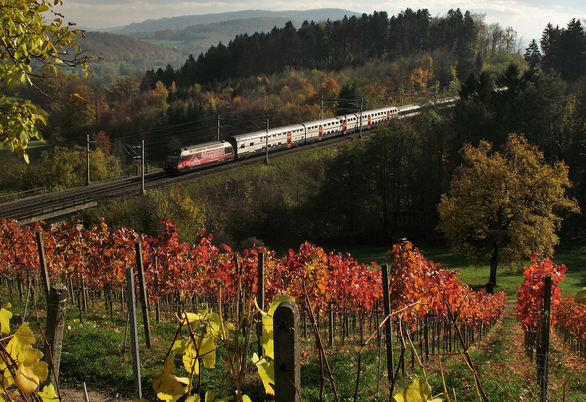 Re 460 bei Villnachern Richtung Brugg
3. November 2008