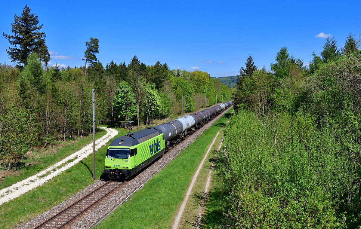 Re 465 003 mit einem Kesselzug am 27.04.2022 bei Sisseln.