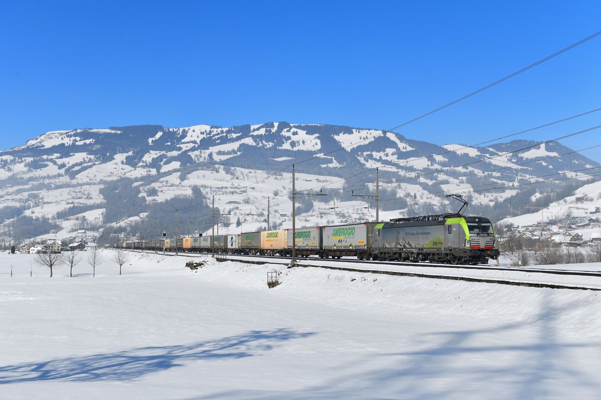 Re 475 408 mit einem Containerzug am 05.02.2019 bei Steinen. 