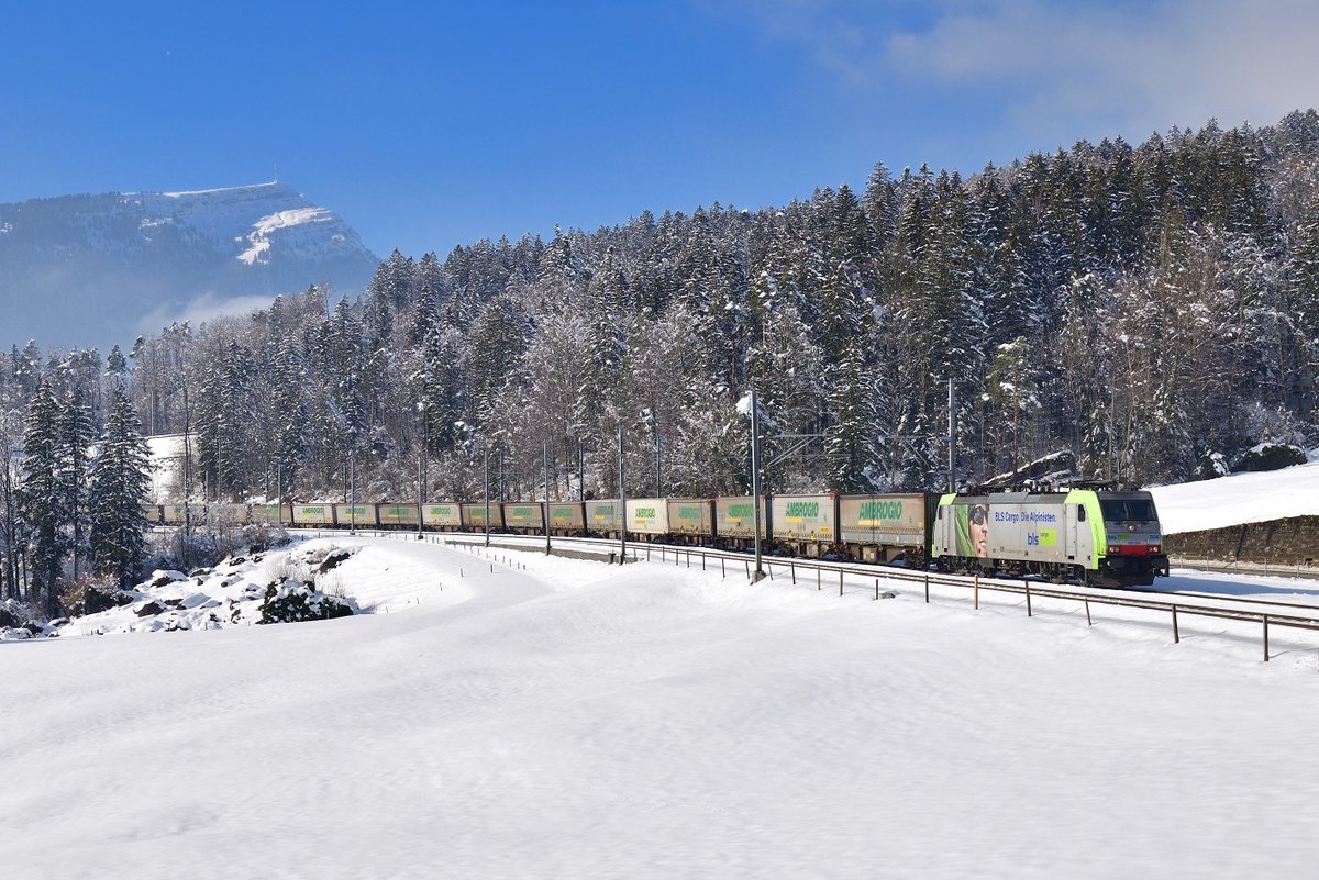 Re 486 504 mit einem KLV am 05.02.2019 bei Goldau.