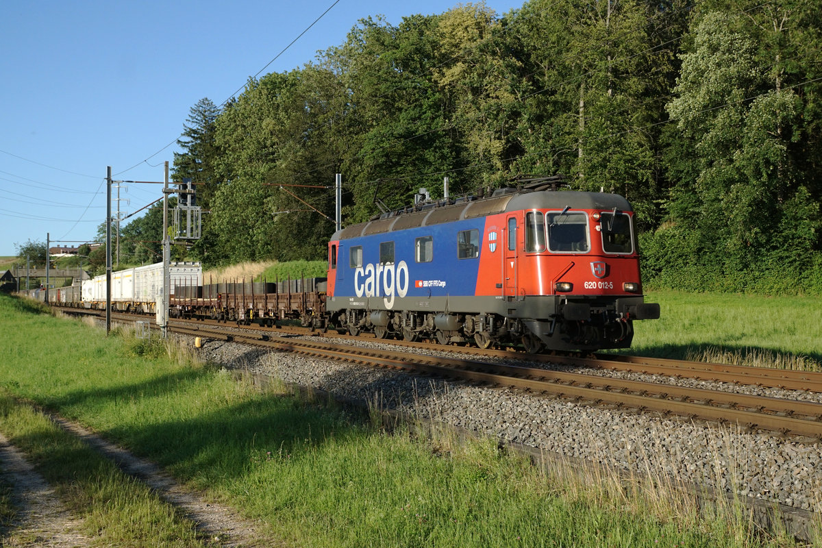 Re 620 012-5  Regensdorf  mit dem Güterzug RBL-Genève bei Niederbipp am Abend des 29. Juni 2020.
Foto: Walter Ruetsch