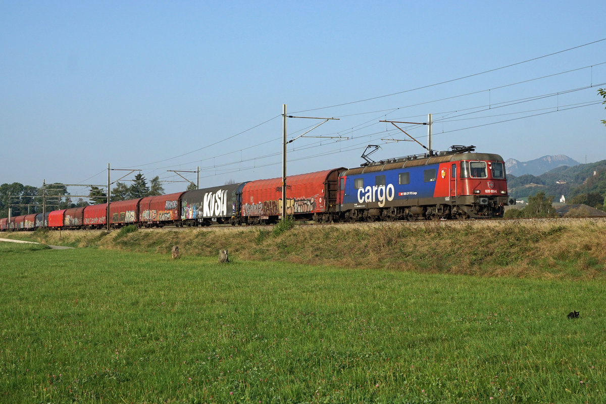 Re 620 059-6  CHAVORNAY  mit dem Güterzug ab Gerlafingen bei Niederbipp am 17. September 2020.
Die schwarze Katze lässt sich weder vom Güterzug noch vom Bahnfotografen vertreiben.
Foto: Walter Ruetsch