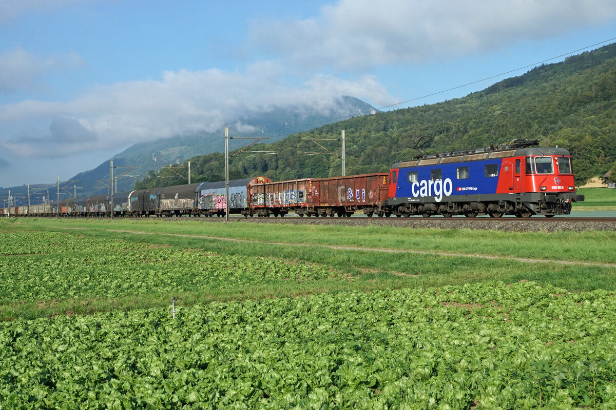 Re 620 062-0  Reuchenette-Péry  mit einem sehr langen Güterzug ab Gerlafingen zwischen Oensingen und Oberbuchsiten am 1. September 2021. Noch hatte sich der erste Herbstnebel nicht ganz aufgelöst.
Foto: Walter Ruetsch
