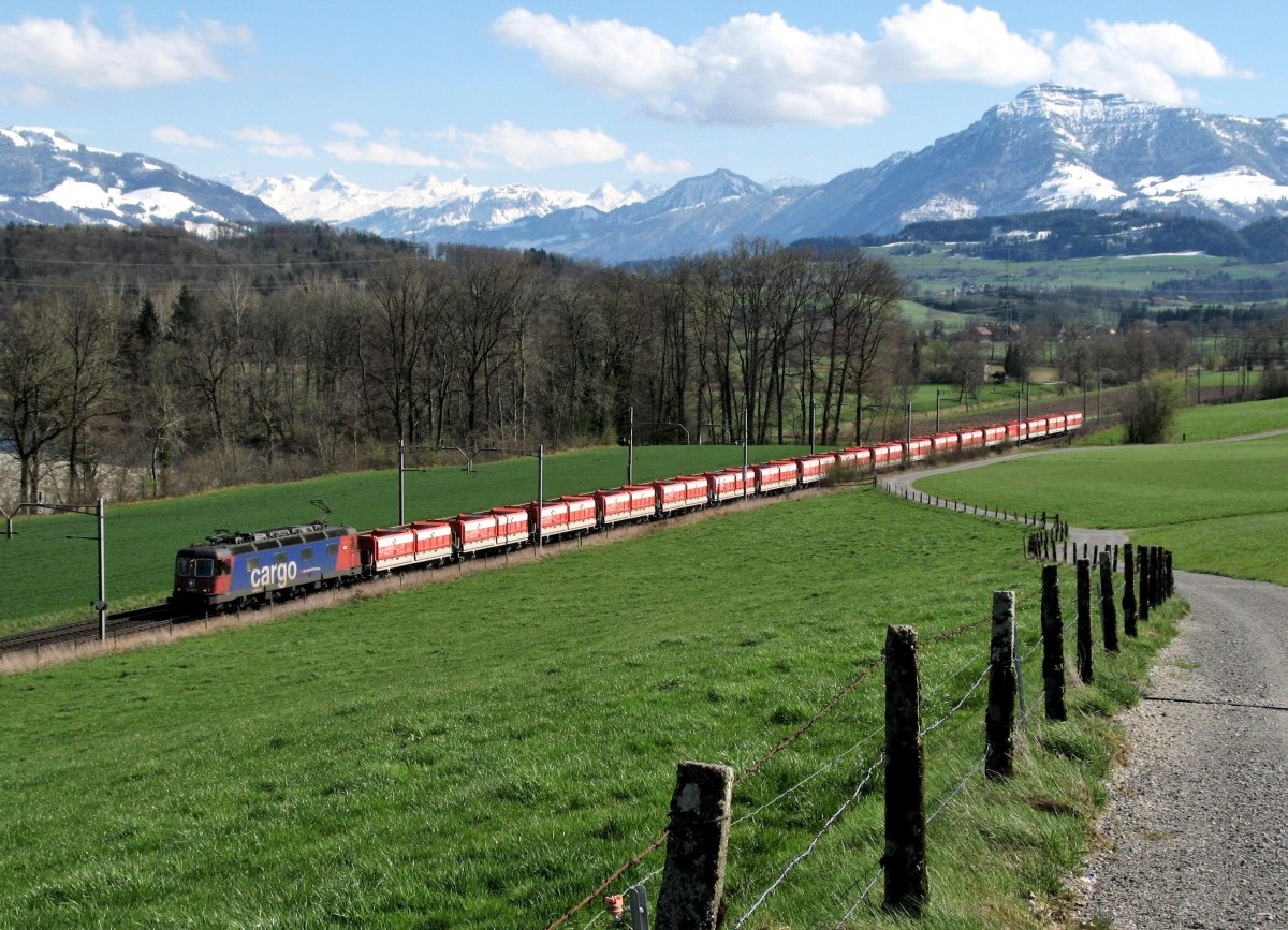 Re 6/6  11633 *Muri*  bei Sins
7. April 2008