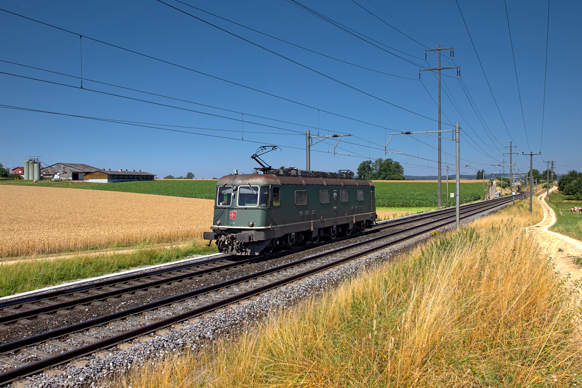 Re 6/6 11646 fährt als Tfzf durch die Weizenfelder in Möhlin vorüber.Bild vom 10.7.2015