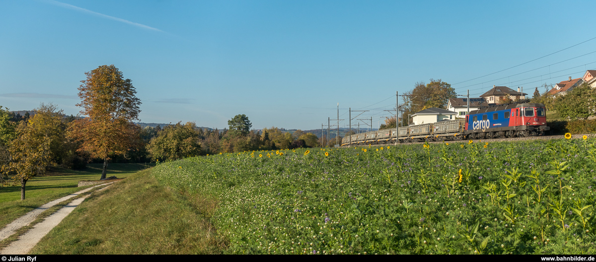 Re 6/6 11660  Tavannes  mit Aushubzug vom neuen Gubristtunnel nach Wildegg am 22. Oktober 2018 bei Holderbank.