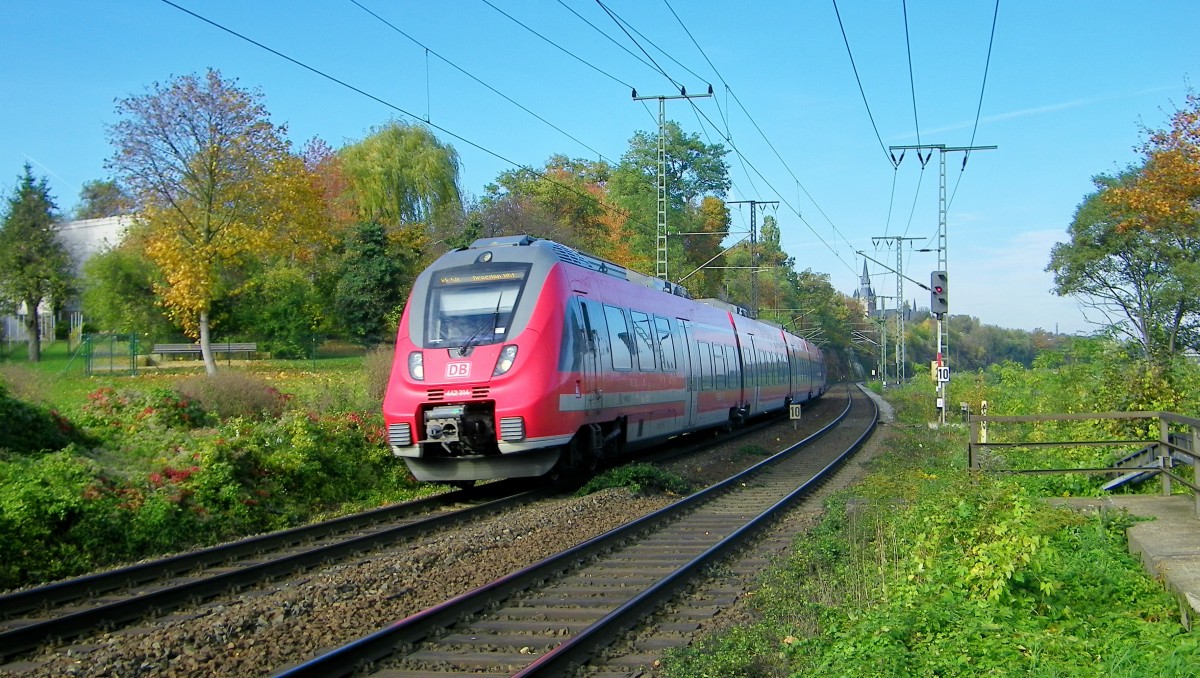 RE aus Leipzig Hbf mit Hamster 442 314 vorn durchfhrt gleich bei schnstem Herbstwetter den Hp Dresden-Cotta (19.10.2013)  