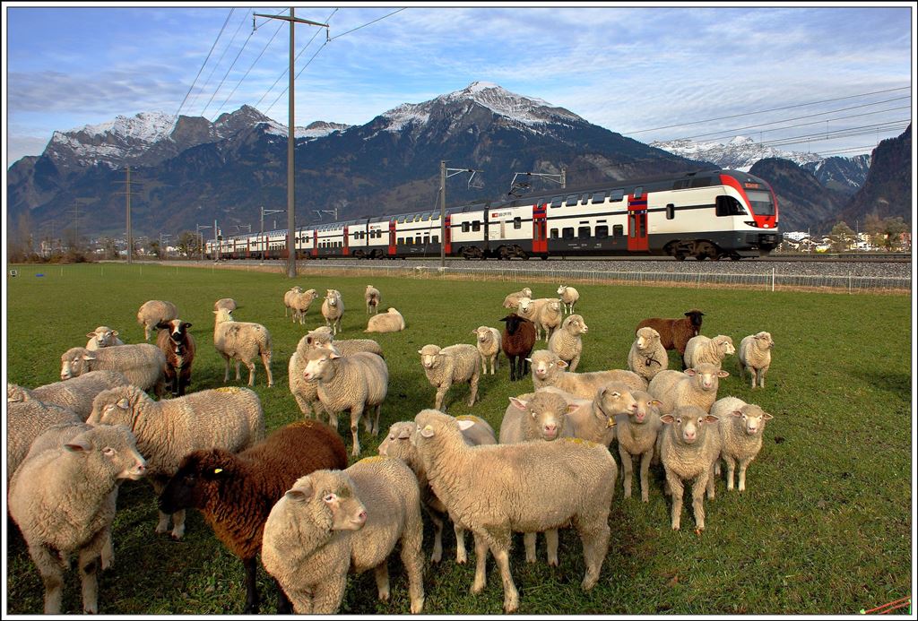 RE1778 nach Zürich HB auch mit einem RABe 511 bei Landquart mit Falknis, Glegghorn, Vilan und Scesaplana. (20.11.2014)