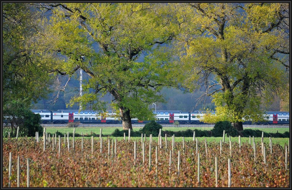 RE3811 zwischen Landquart und Zizers. (15.11.2013)