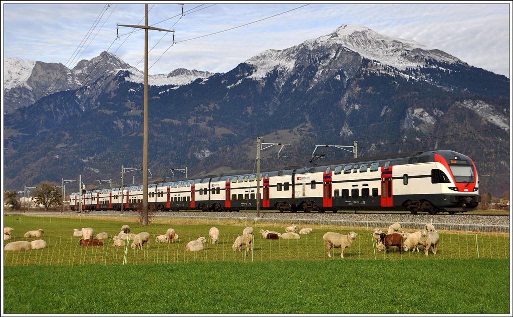 RE3828 nach St.Gallen kurz vor Landquart. (20.11.2014)