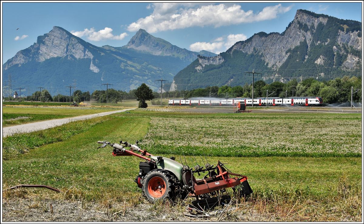 RE4873 nach Chur zwischen Bad Ragaz und Maienfeld mit Gonzen, Gauschla und Regitzerspitz im Hintergrund. (13.07.2018)