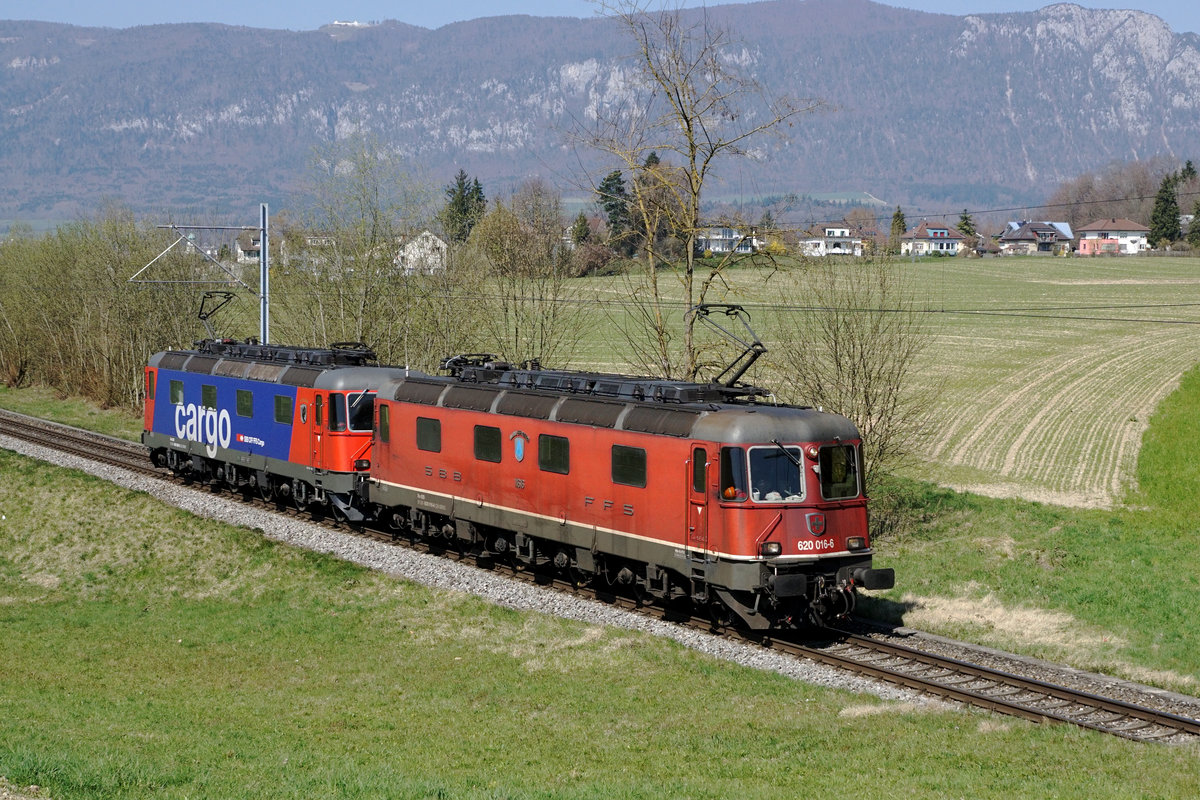 Refit Re 620 029-9 (Re 6/6 11629)  INTERLAKEN  und Re 620 016-6 (Re 6/6 11616)  ILLNAU-EFFRETIKON  als DOPPELPACKET nach Gerlafingen.
Lasthalber schleppten am 25. März 2020 die Interlaken und die Illnau-Effretikon mit ihren 21'200 PS ihre schwere Güterlast nach Gerlafingen zur Stahl AG, was zu einem äussert seltenen Anblick führte.
Foto: Walter Ruetsch 