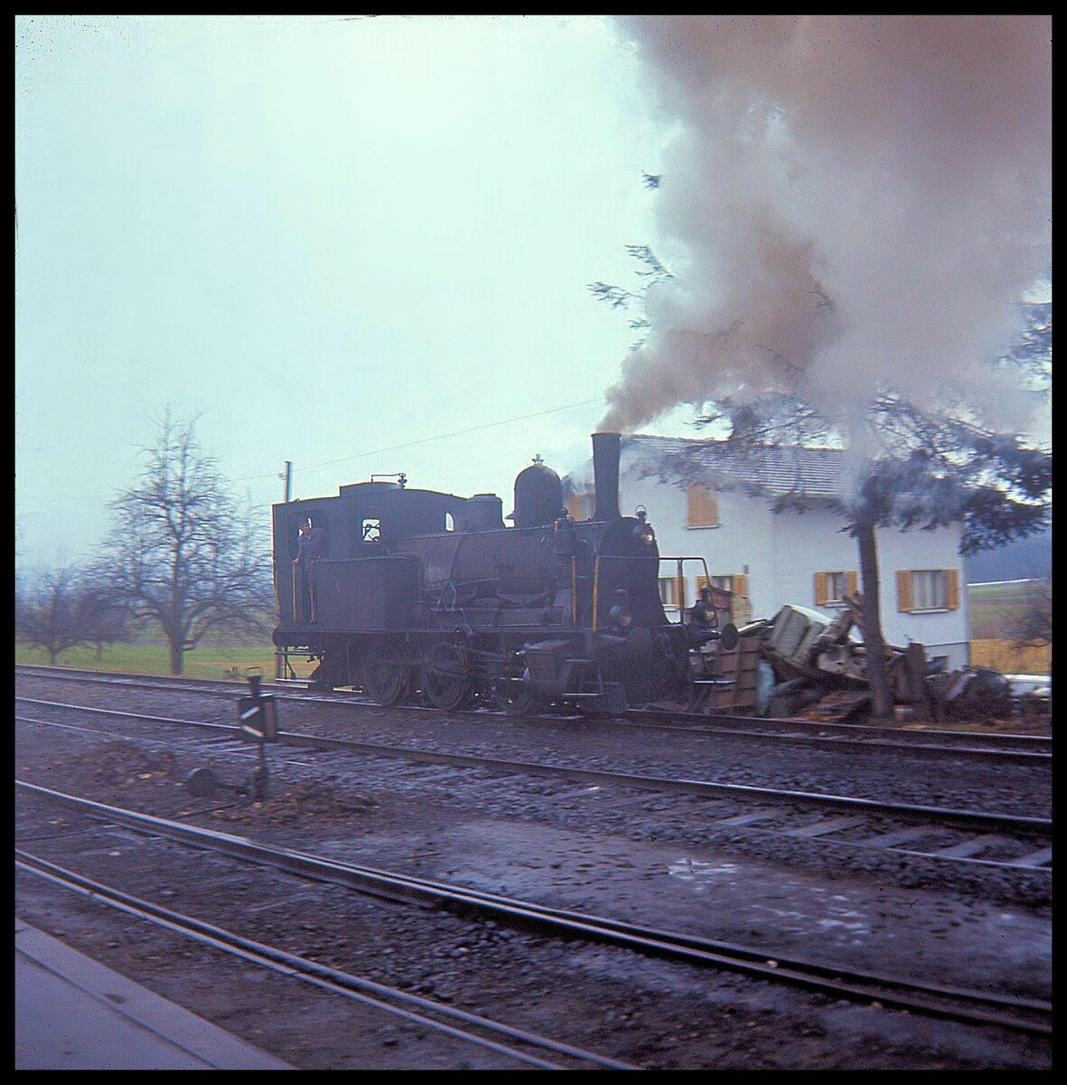 Regelzug der Sursee-Triengen Bahn am 21.März 1965. In Triengen umfährt Lok 5 nach Wasserfassen und Bekohlung ihren Zug für die Rückfahrt. 