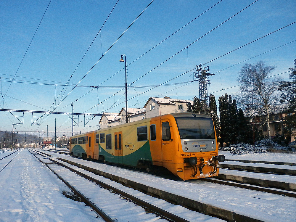 Reginova Nmr. 31 in Letohrad. (01.02.2015)