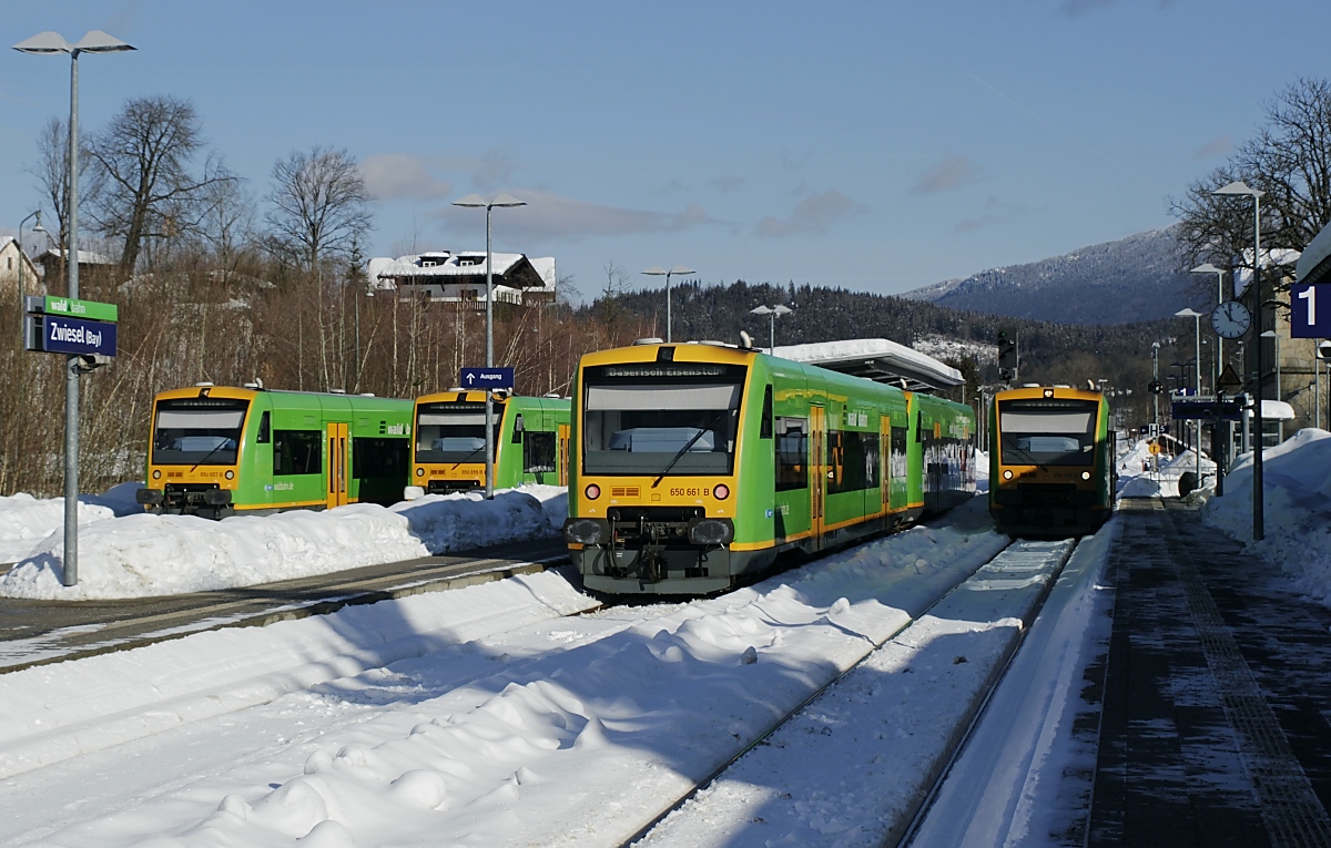 Regio-Shuttle-Treffen im Bahnhof Zwiesel am 13.02.2019: Links verlässt 650 657 den Bahnhof Zwiesel in Richtung Plattling, daneben wartet 650 659 auf die Abfahrt nach Bodenmais, in der Bildmitte 650 661 und ein weiterer 650 nach Bayerisch Eisenstein, ganz rechts 650 650 nach Grafenau