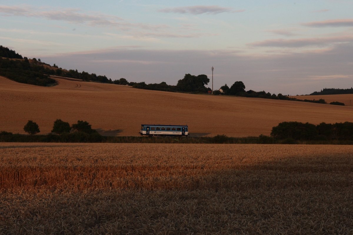 RegioMouse 810 559, als Os16179 (Žlutice - Rakovník), im letzten Abendlicht bei Chyše am 22.07.2019.